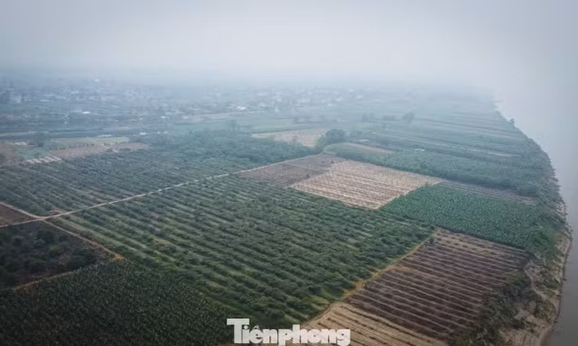 Diễn biến mới vụ 119 hộ dân kiến nghị chính quyền địa phương