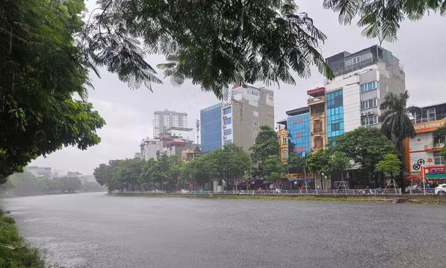 Nước sông Tô Lịch dâng cao, dòng chảy xanh mướt lạ mắt