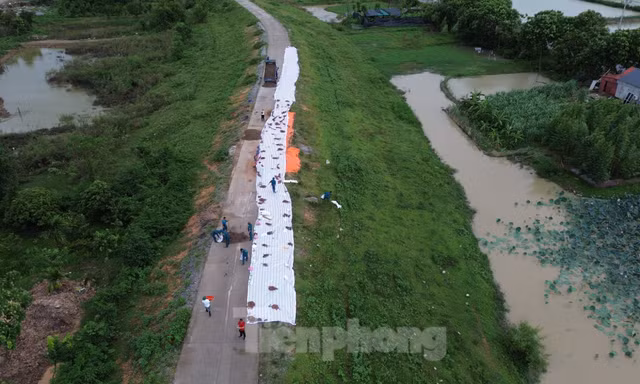 Hà Nội: Cận cảnh tuyến đê hữu Cầu bị sụt lún