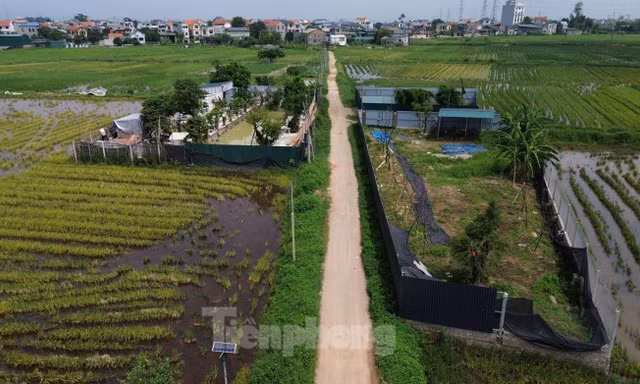 Dự thảo Bảng giá đất mới của Hà Nội: Cần ở mức trung lập