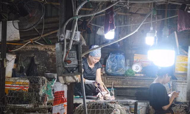 Hà Nội rà soát, chấm dứt hoạt động toàn bộ cơ sở giết mổ gia súc, gia cầm trong khu dân cư