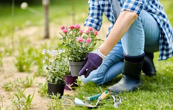 Giới trẻ sống chậm, đọc sách giấy, viết nhật ký trong thời đại công nghệ số