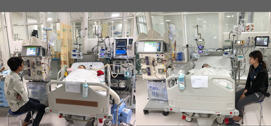 Bị ong vò vẽ tấn công, 2 người chết, 3 người nguy kịch