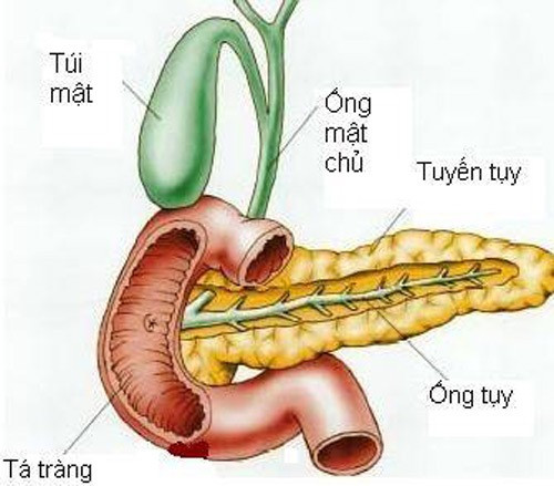 Suýt chết vì hoại tử tụy do bia rượu