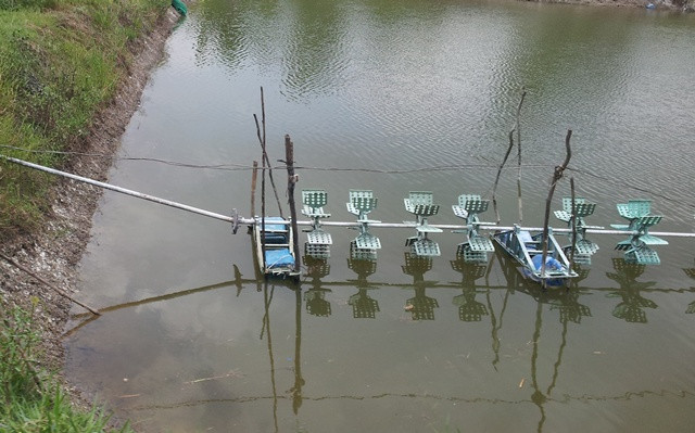 Hệ thống quạt khí trong ao tôm tiềm ẩn nhiều nguy hiểm 