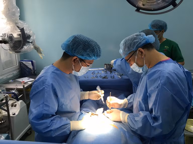 Hi hữu: Người đàn ông bị heo rừng lai táp mất 'của quý'