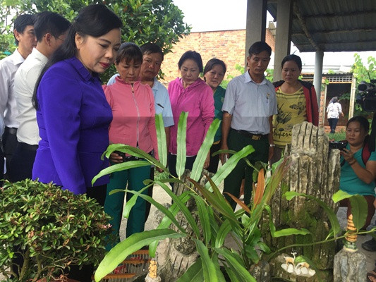 TPHCM: Xử phạt gần 400 vi phạm phòng chống sốt xuất huyết