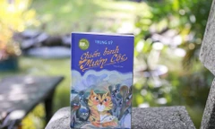 Chiến binh Mướp Cộc: Chuyến phiêu lưu ly kỳ và lạ lùng của một chú mèo