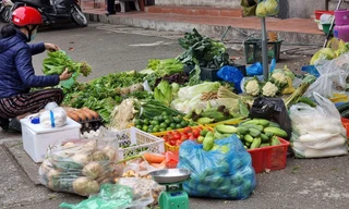 Rau củ đắt hơn thịt, người Hà Nội choáng như bị 'móc túi' 