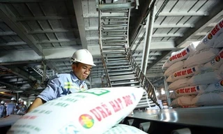 Chiến sự Trung Đông ‘khuấy động’ thị trường phân bón 