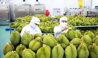 Trung Quốc ra quy định mới về nhập khẩu nông sản, doanh nghiệp Việt cần chú ý