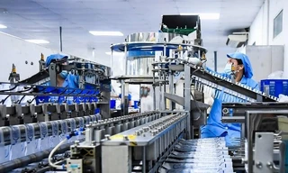 Giá xăng dầu tăng: Doanh nghiệp siết chi phí, tăng tốc chuyển đổi năng lượng