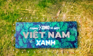 OMO lập kỷ lục Guinness thế giới xếp chữ ‘Việt Nam’ từ banh hạt giống lớn nhất