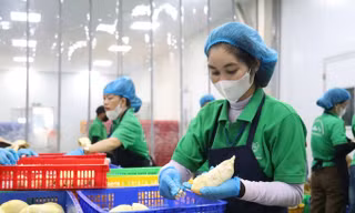 Nông sản Việt vào Italia: Hồ sơ sai một chi tiết có thể bị dừng thông quan