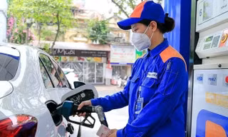 Dự báo biến động giá xăng dầu