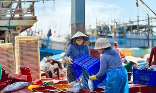 Bước vào thời gian quan trọng gỡ thẻ vàng thủy sản