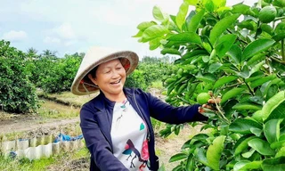 Những người giữ đất để nông sản Việt vươn xa