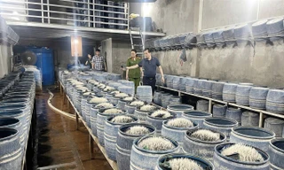 Nghịch lý tiêu chuẩn kép nông sản Việt - kỳ 5: Báo động về an toàn thực phẩm