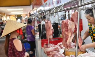 Lý do giá thịt lợn tăng mạnh