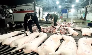 Vụ thịt lợn dịch vào bếp ăn: Nói thẳng về trách nhiệm của ngành nông nghiệp