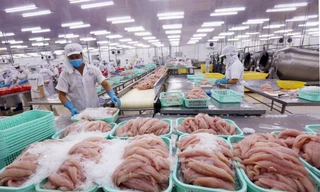 Nghịch lý tiêu chuẩn kép nông sản Việt - kỳ 2: Thủy sản lép vế trên sân nhà