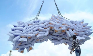 Lo 'tắc' gần nửa triệu tấn gạo Việt vì hành động của Indonesia, Phillippines 