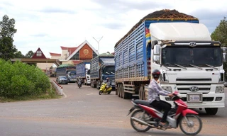 Lý do nông sản, thực phẩm nhập khẩu 'đứng hình' cận Tết