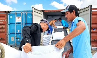 Philippines 'phanh gấp' nhập khẩu, gạo Việt chuyển hướng không ngờ