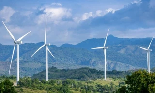 Nhiều doanh nghiệp điện gió Quảng Trị lo phá sản 