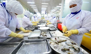 Xuất khẩu thủy sản dự báo cao nhất từ trước đến nay