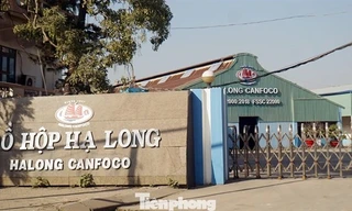 Lật giở quá trình phát hiện Công ty Đồ hộp Hạ Long làm patê bằng thịt lợn bệnh 