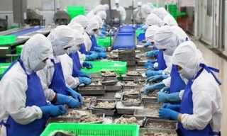 Lý do xuất khẩu thủy sản Việt Nam vượt 11 tỷ USD