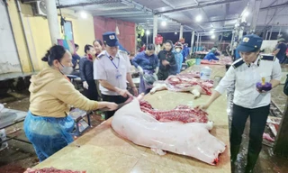 Vụ thịt lợn dịch vào bếp ăn trường học: Không thể đổ do thiếu người, lương thấp