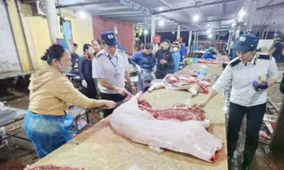 Vụ thịt lợn dịch vào bếp ăn trường học: Trách nhiệm của lực lượng thú y ra sao? 