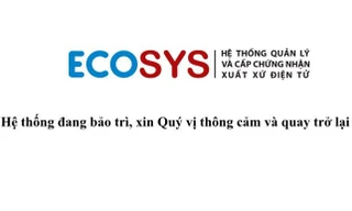 Doanh nghiệp 'đứng ngồi không yên' vì lỗi hệ thống chứng nhận xuất xứ hàng hóa 