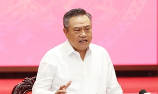 Nhiều công viên, vườn hoa ở Hà Nội chưa được ký hợp đồng duy trì nên cỏ dại mọc đầy, xuống cấp