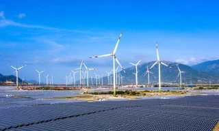 Năng lượng tái tạo: Bao giờ dòng vốn tỷ USD ‘mắc cạn’ được khơi thông?