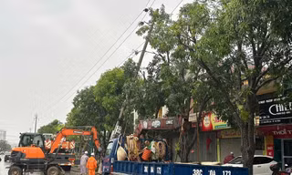 Xử lý sự cố mất điện ở Bắc Trung Bộ xong trước ngày 2/9