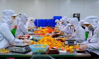 Xung đột Trung Đông: Cú sốc dây chuyền tới xuất khẩu nông sản Việt 