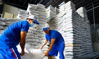 Đề xuất đánh giá tín nhiệm doanh nghiệp xuất khẩu gạo