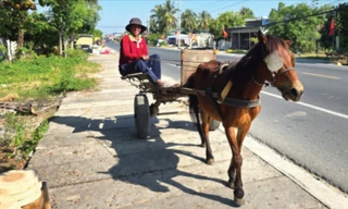 Tiếng vó ngựa lạc nhịp trên tỉnh lộ 948, vùng Bảy Núi, An Giang. Ảnh: Nhật Huy