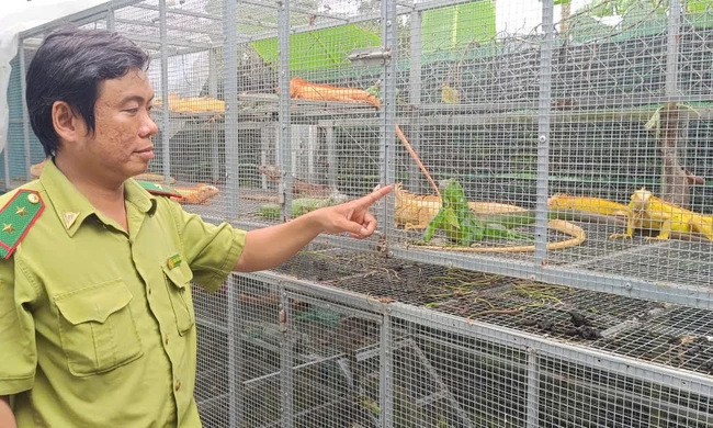 Bất ngờ phát hiện hộ dân nuôi trái phép hàng trăm động vật hoang dã