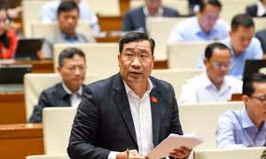 Đại biểu Quốc hội 'hiến kế' huy động nguồn lực ngoại tệ và vàng trong dân