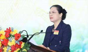 Tập trung giám sát, phản biện xã hội vào các lĩnh vực nhạy cảm, dễ phát sinh tiêu cực