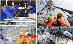 Thí điểm cơ chế đặc thù thuê, tuyển dụng bổ nhiệm giám đốc tại một số doanh nghiệp nhà nước