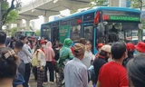 Hơn 600 nghìn hành khách đi xe buýt dịp Quốc khánh