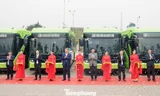 Hà Nội thêm 9 tuyến buýt được thay thế bằng xe điện