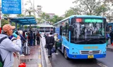 Hơn 360 nghìn khách đi xe buýt miễn phí dịp Tết