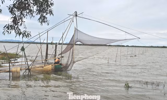 Cận cảnh nghề cất vó đặc trưng mùa nước nổi thượng nguồn sông Cửu Long