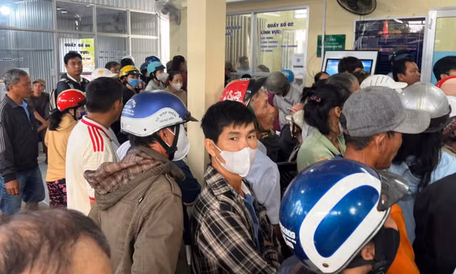 Thông tin hoa và cây kiểng phải có giấy tờ về nguồn gốc mới được vận chuyển, mua bán là tin đồn thất thiệt